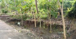 LOT for SALE in Dimiao Bohol