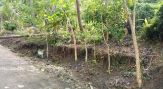 LOT for SALE in Dimiao Bohol