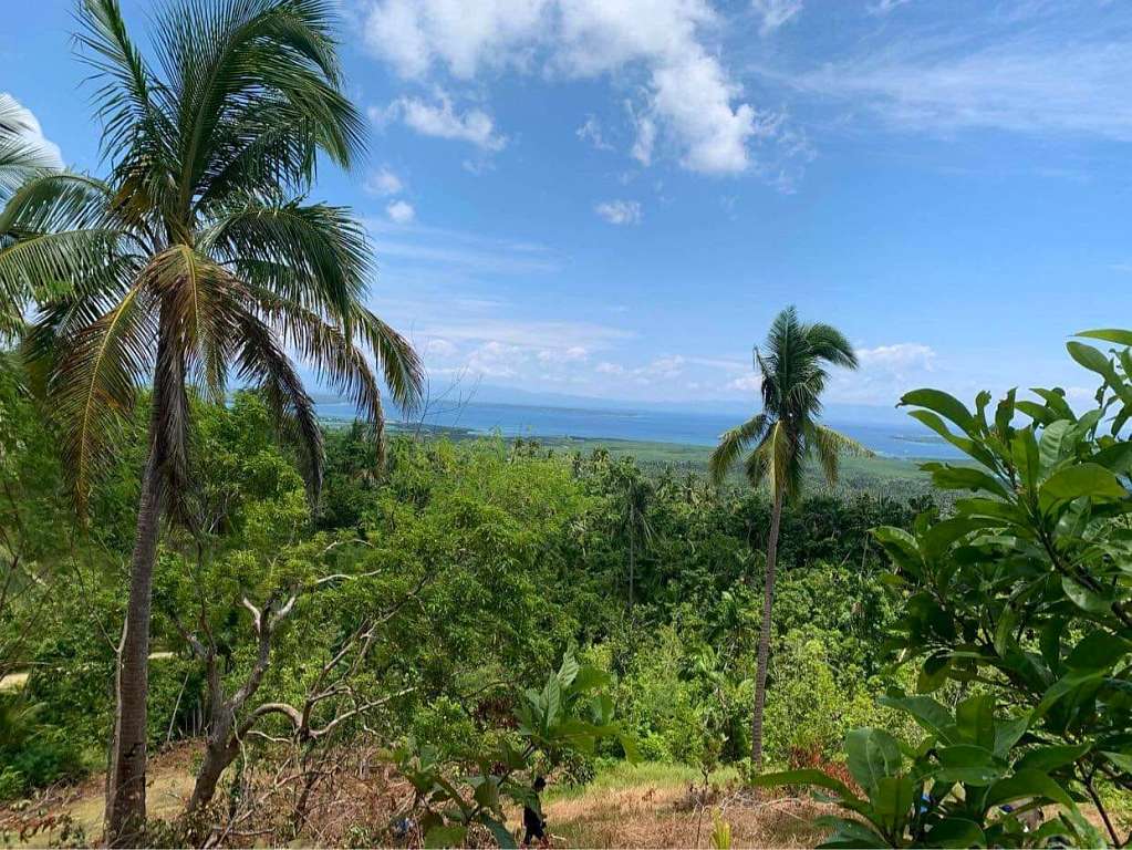 Overlooking lot for sale in loon 1