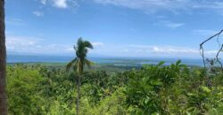 Overlooking LOT for SALE in Loon Bohol