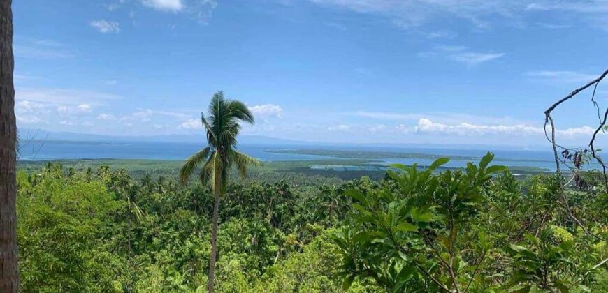 Overlooking LOT for SALE in Loon Bohol